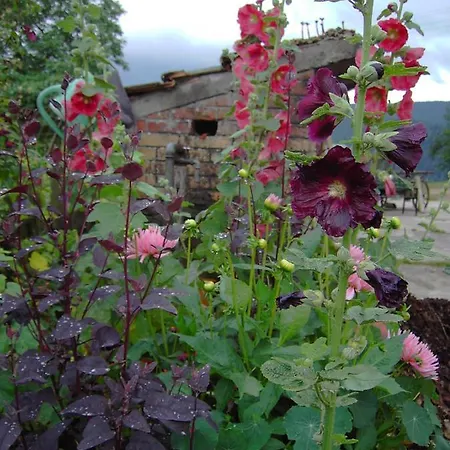 Hoefenhof * שילטך