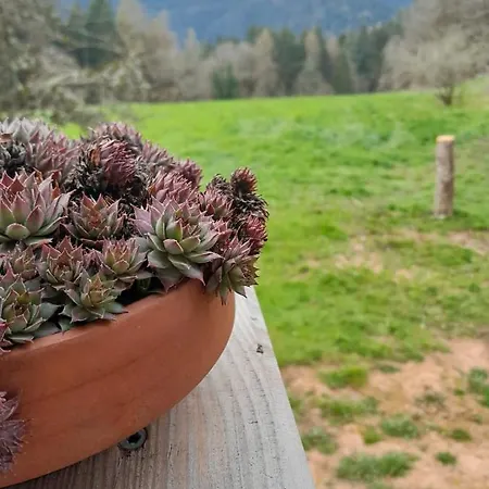 דירה Hoefenhof שילטך